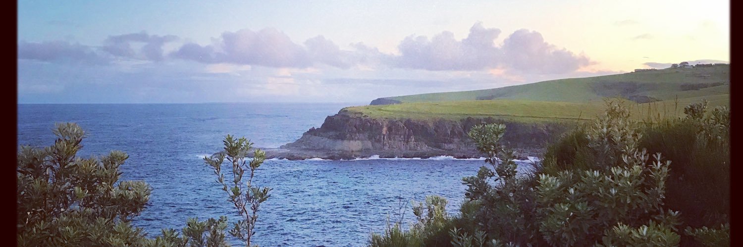 Bec Coddington banner