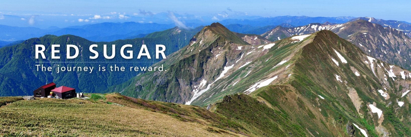 red_sugar banner