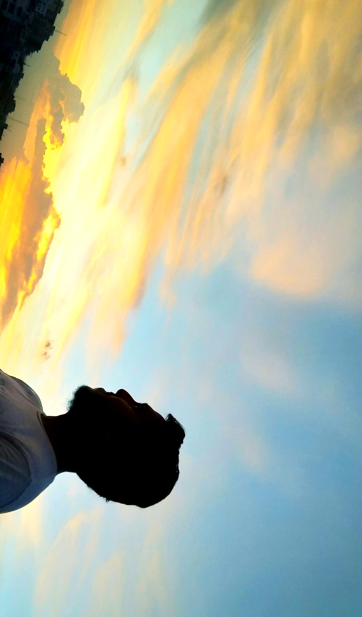 Lutforswann's profile banner image