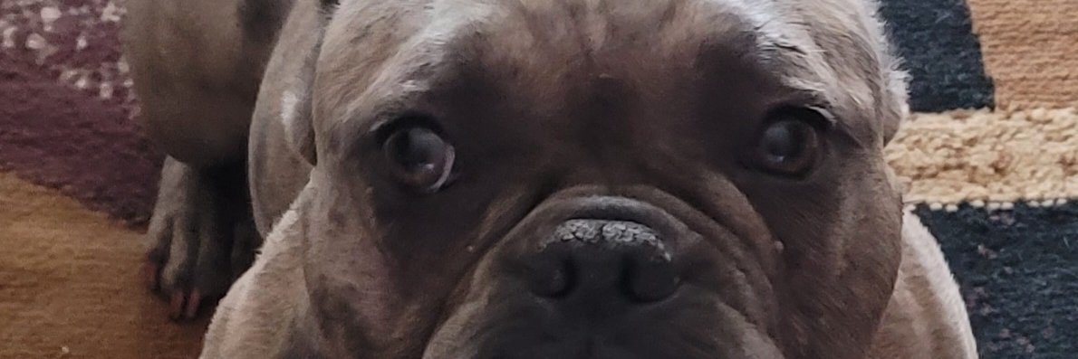 VCollins09's profile banner image