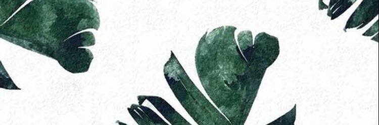 amandabazini's profile banner image