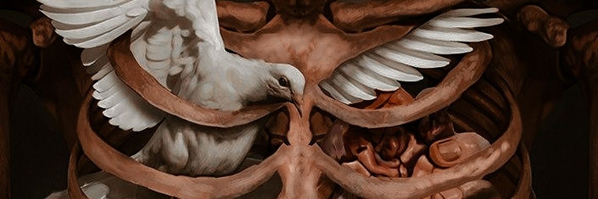vandetta_art's profile banner image