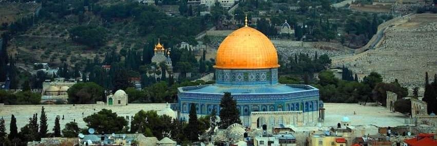 Mahmoud Qaddoha banner