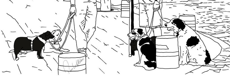 quiltra_'s profile banner image