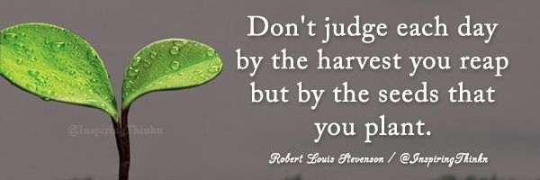 Top Two Inches Solutions banner