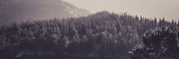 namjpcy's profile banner image