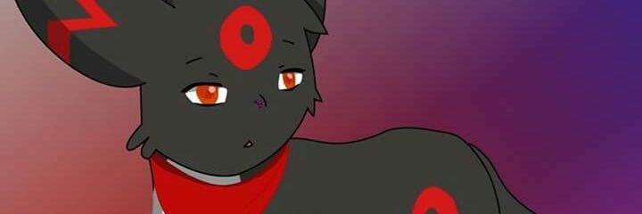 Bugeisha banner