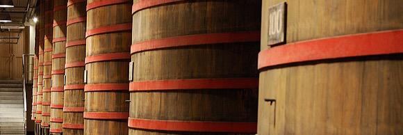 Rodenbachbrewer's profile banner image