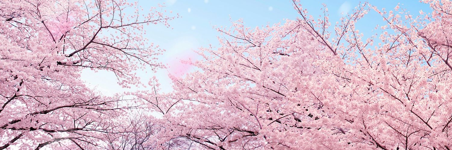 Mikanwanwan0205's profile banner image