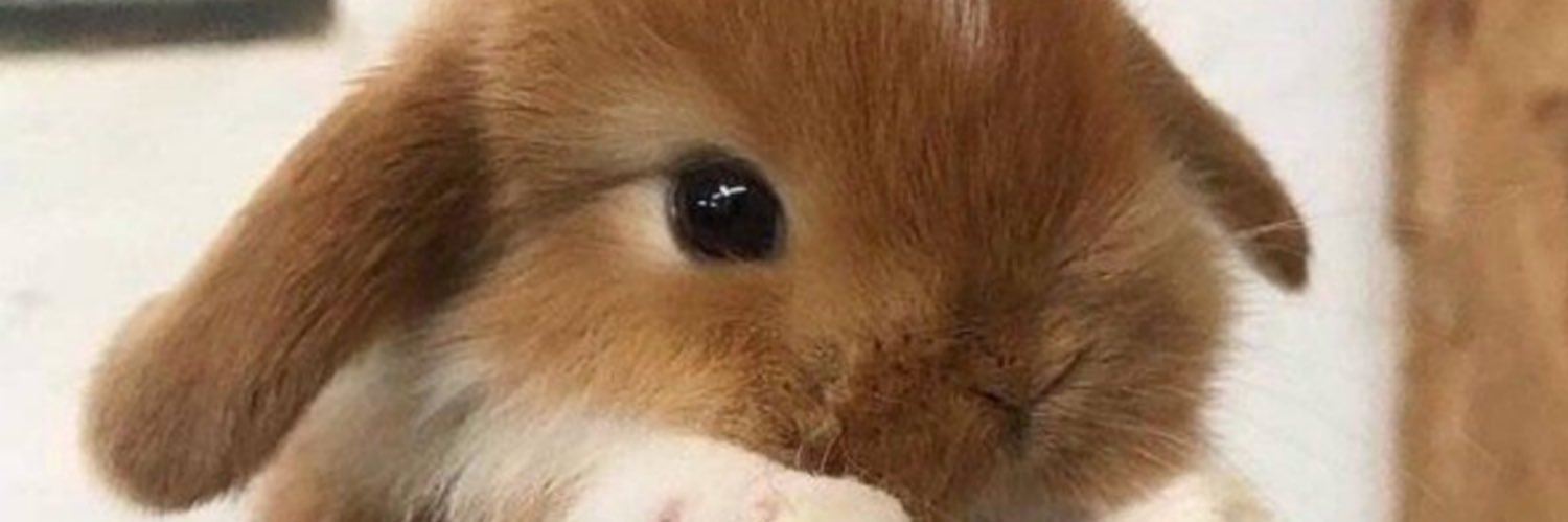 markedbym__ark's profile banner image