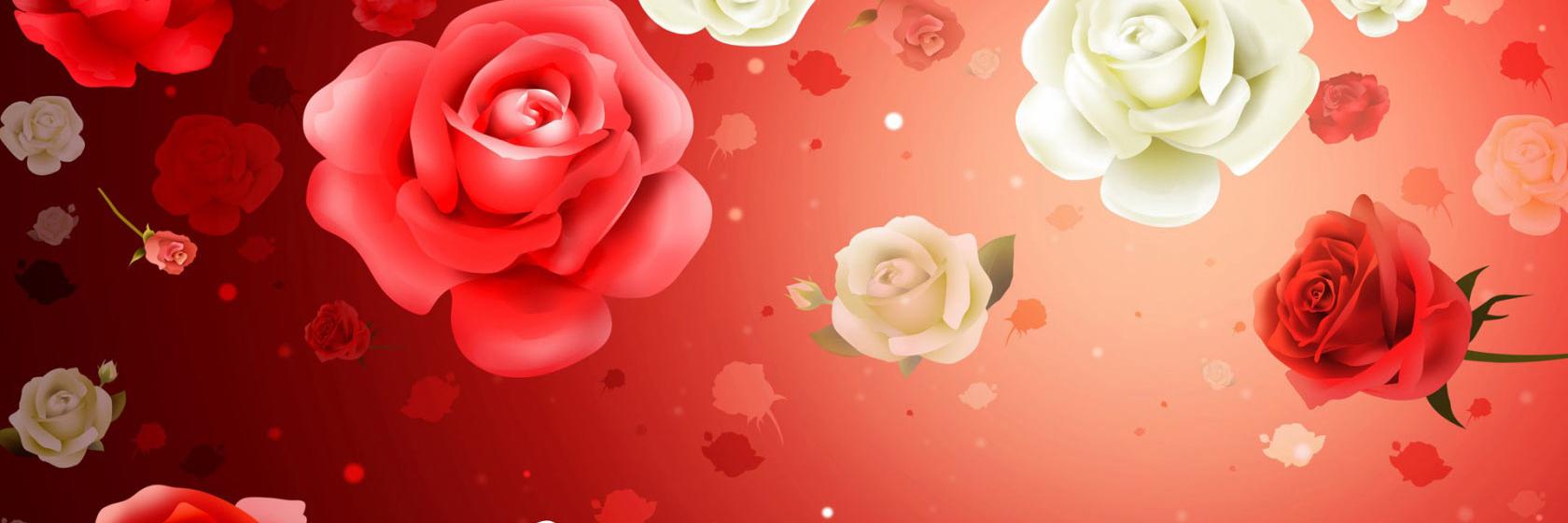 kitkatlover2016's profile banner image