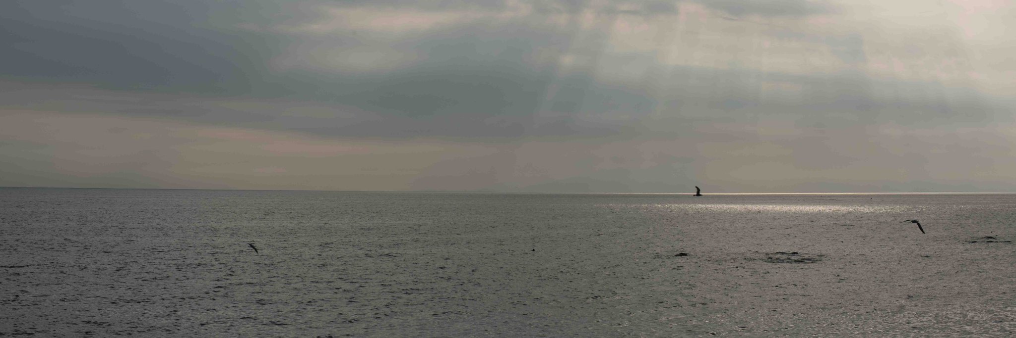 bluecat142's profile banner image