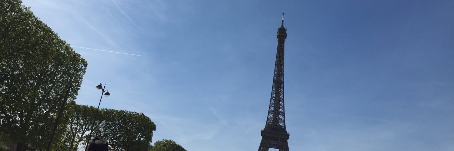 Julia von Cube banner