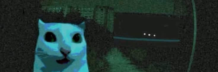 ｍ ａ i c banner