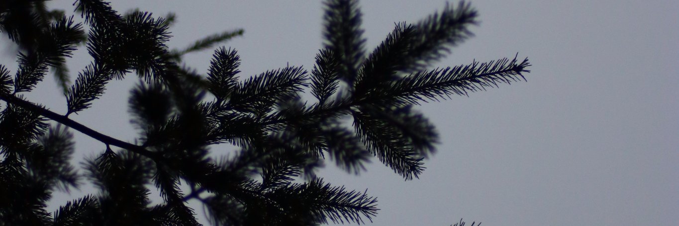 R0WANedwards's profile banner image
