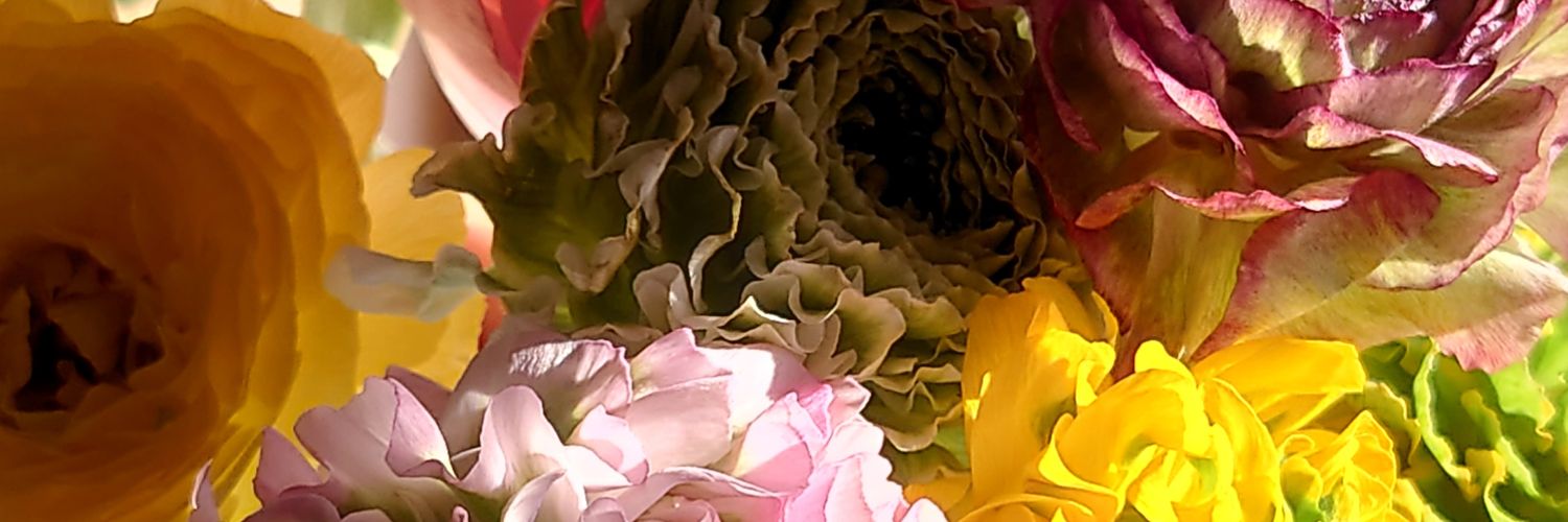 3838Ode's profile banner image