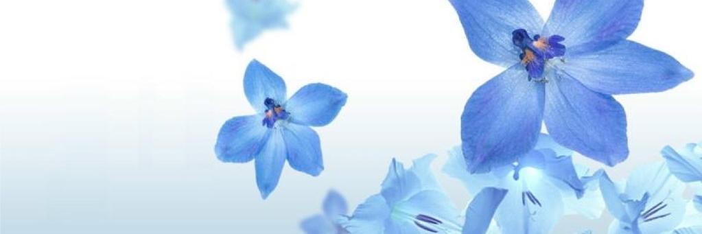 IndonesiaBrita's profile banner image