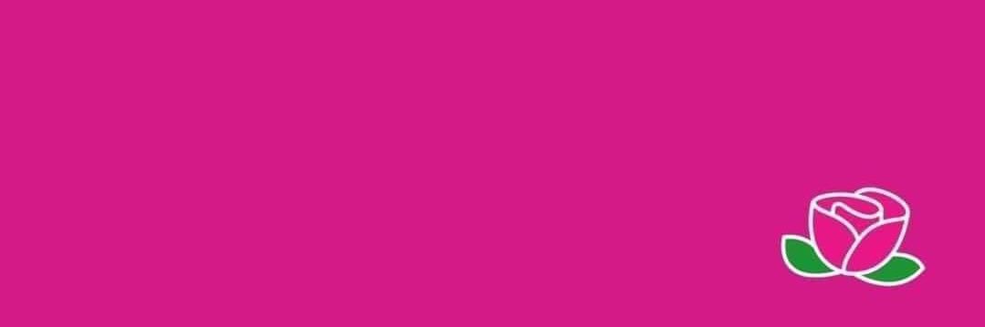 vibaljr's profile banner image