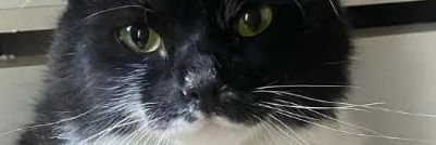 umawasinger's profile banner image