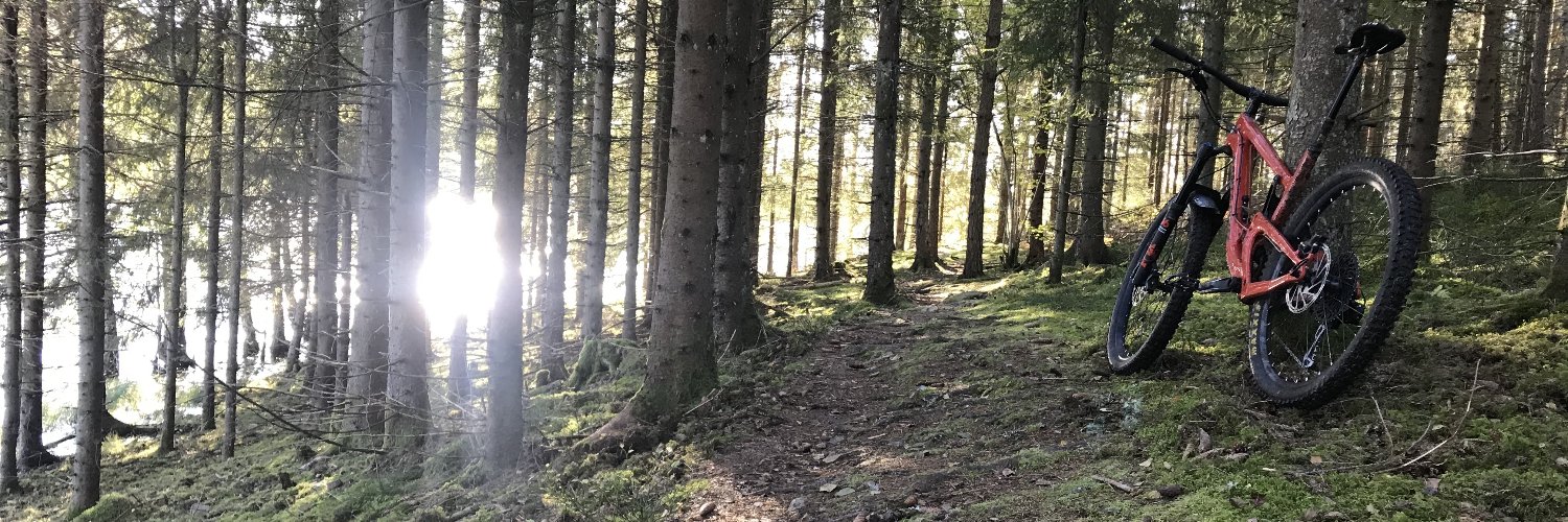 Sebastian Schinzel @seecurity@infosec.exchange banner