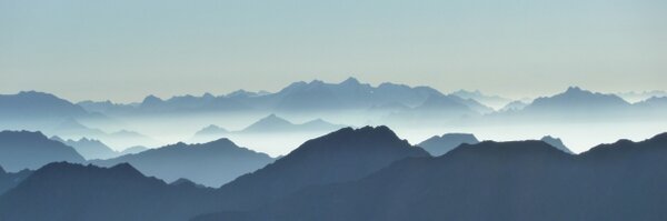 linznicholson Profile Banner