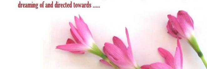 Omi_ims's profile banner image