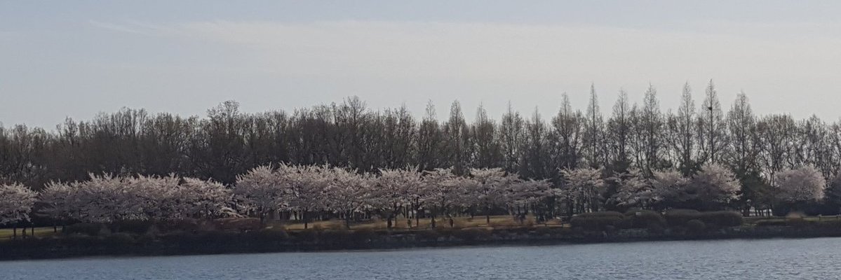porede3745's profile banner image