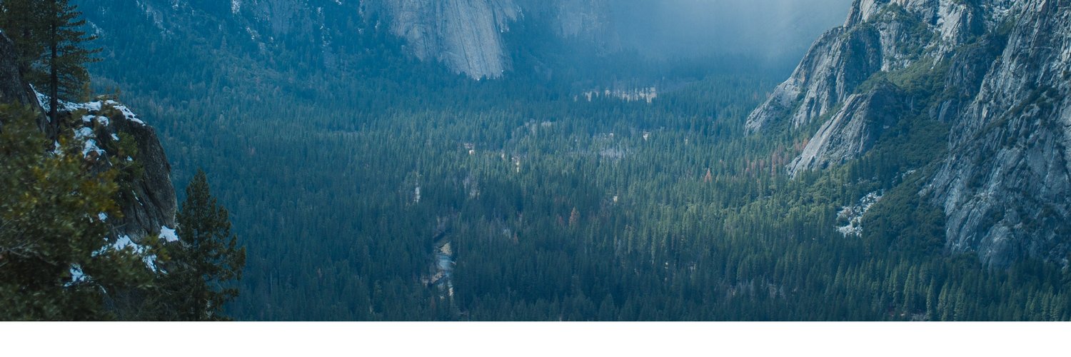 wittebanter's profile banner image