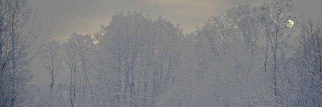 Akemi_NinWd's profile banner image
