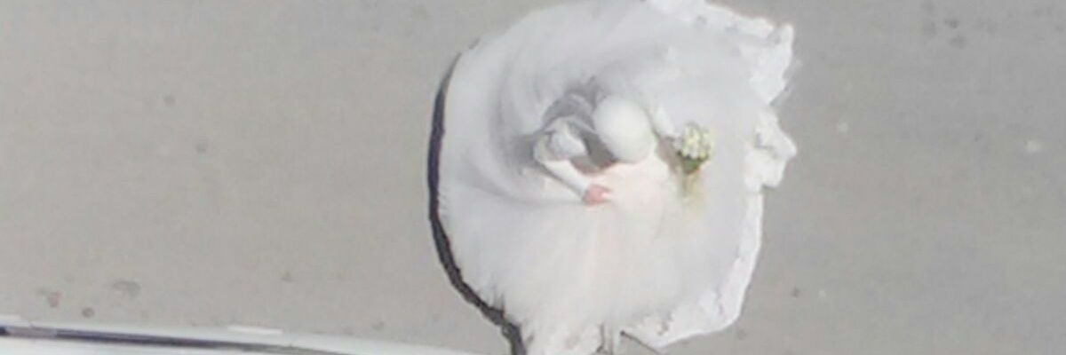 emrttnc's profile banner image