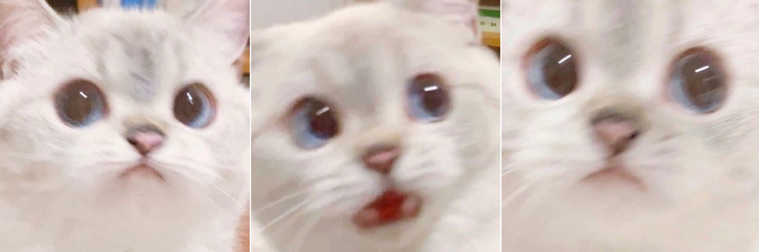 kaaylacakes's profile banner image