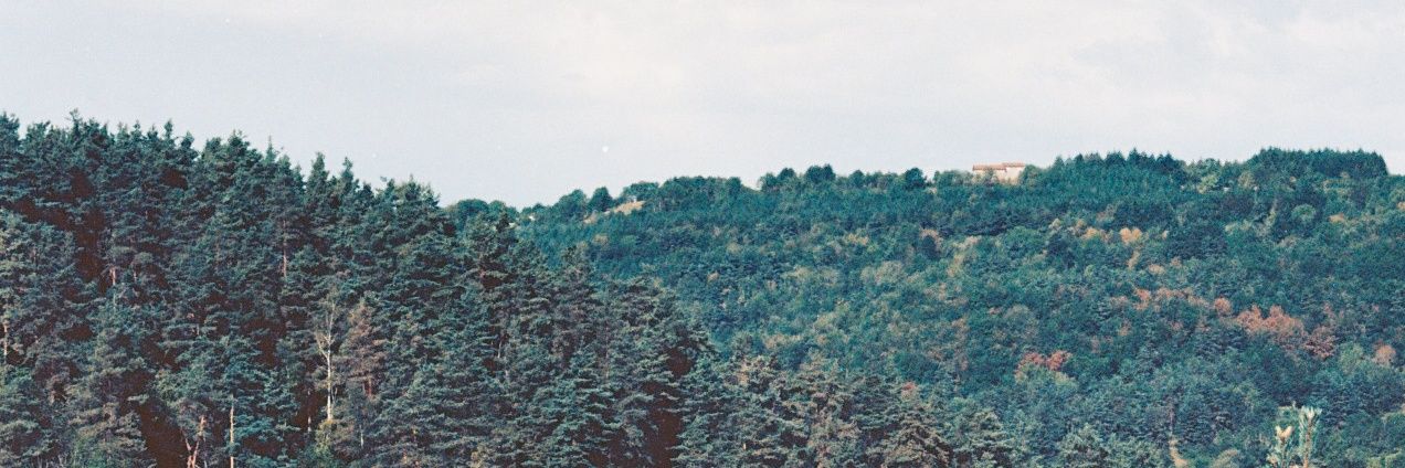 fantinecmb's profile banner image