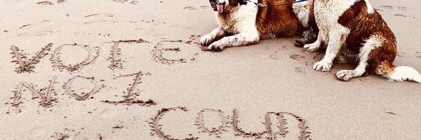ColmBurkeTD Profile Banner