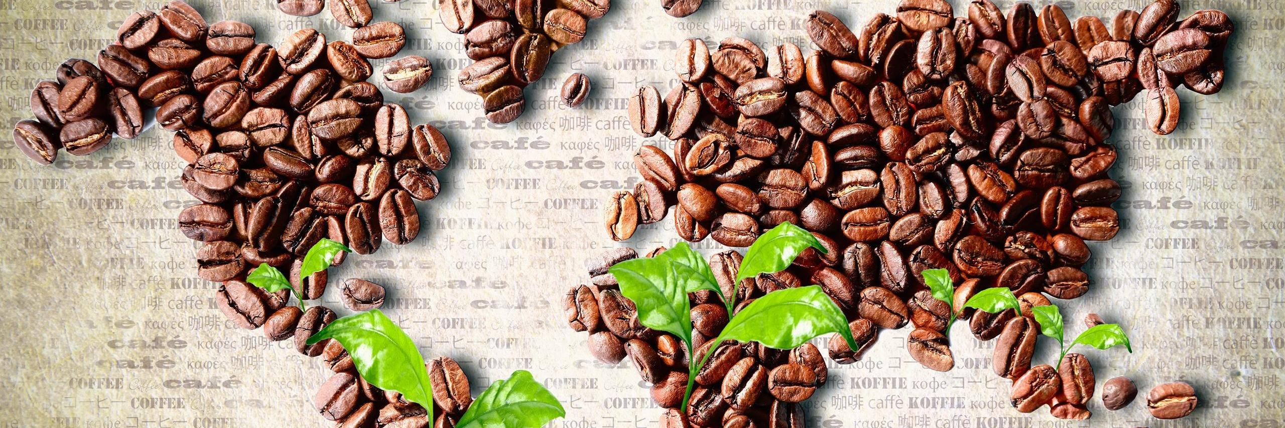 killthekcup1's profile banner image