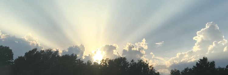 MarkVarela2's profile banner image