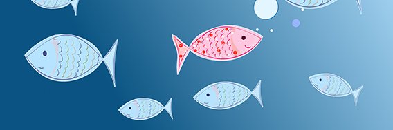 Karina Yaniv banner