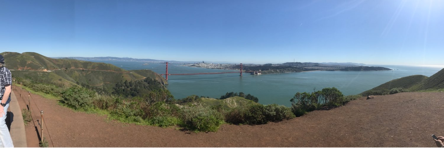 MmeMullins's profile banner image