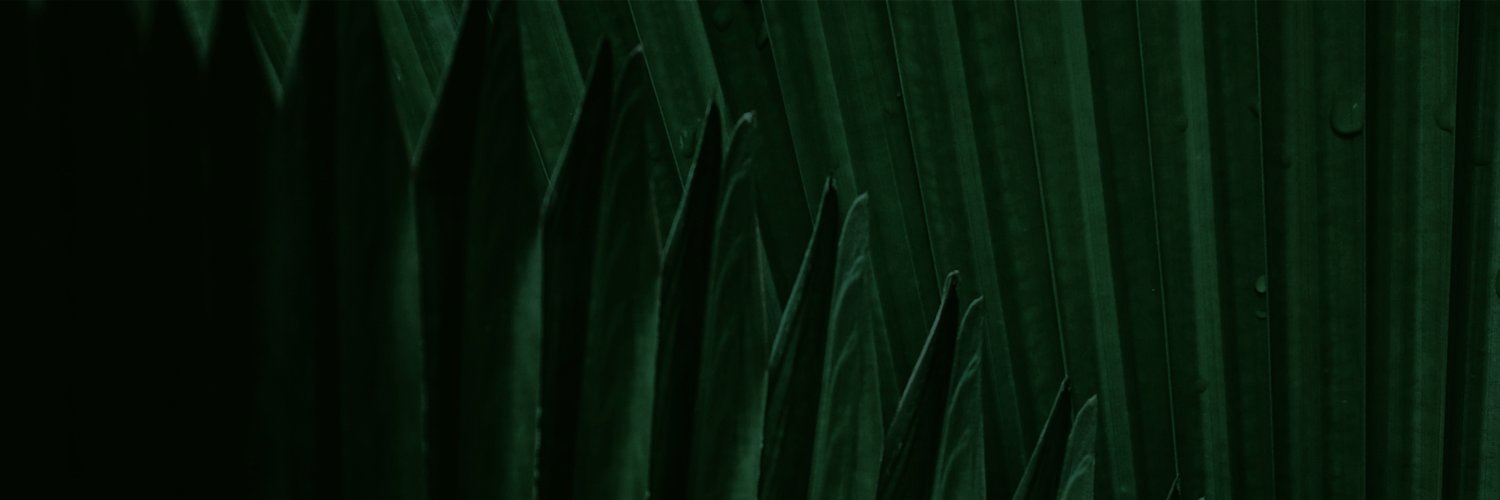 Bailey Fisher banner