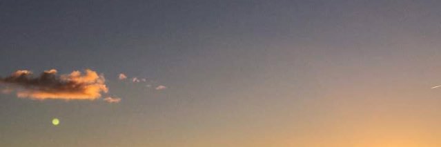venus_flytrap21's profile banner image