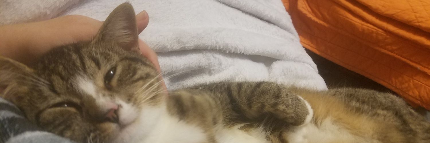 CleverBaggins's profile banner image
