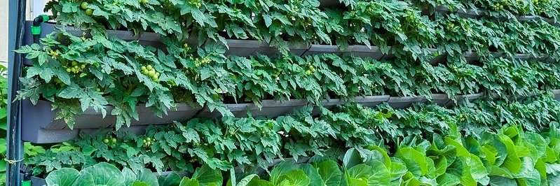 Ministry of Agriculture & Animal Resources |Rwanda banner