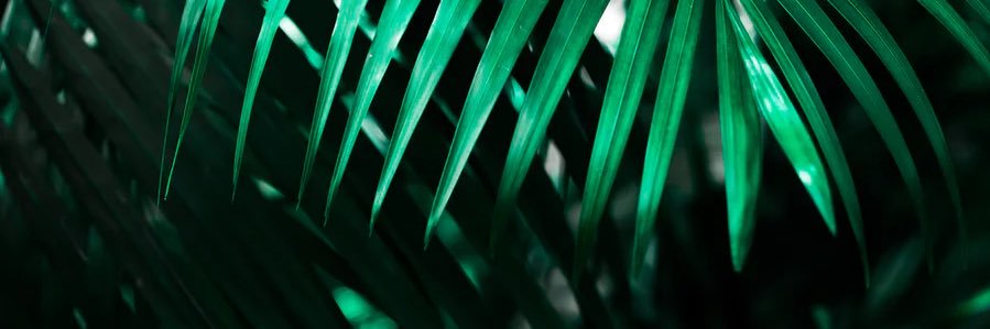 lscan7's profile banner image