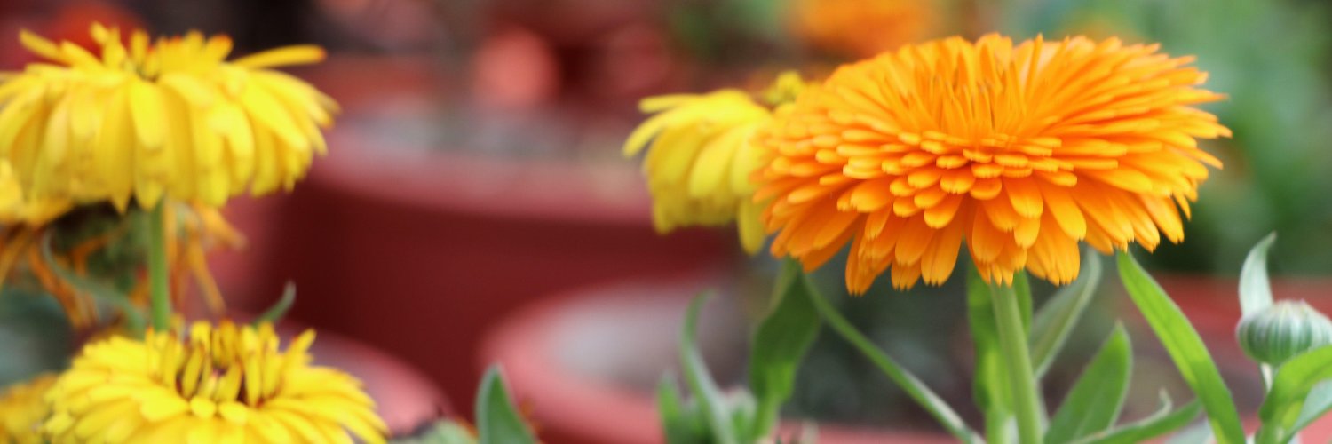 ByAnneHayes's profile banner image