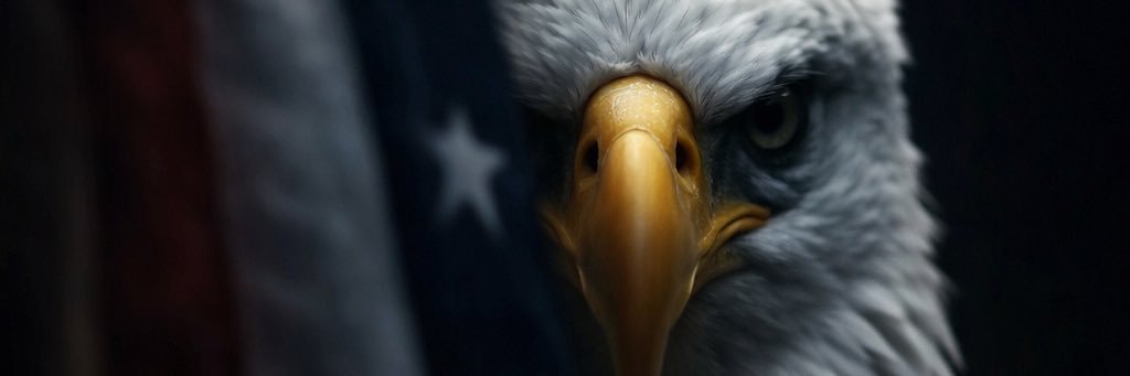goodmannotnice's profile banner image