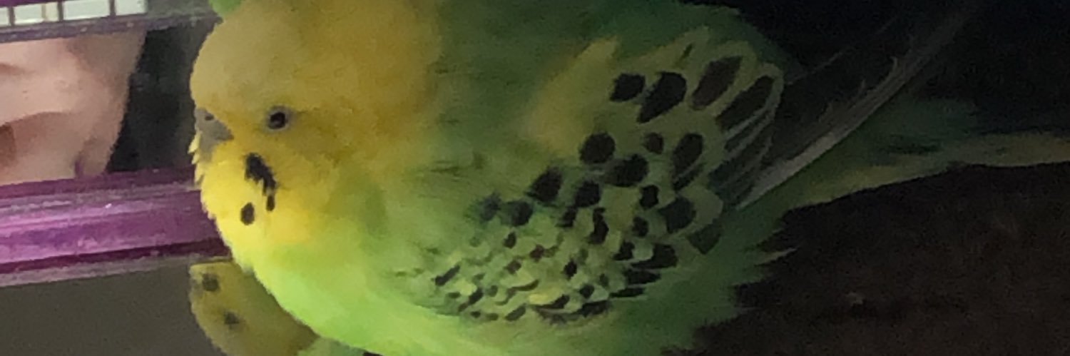 MMusic0726's profile banner image