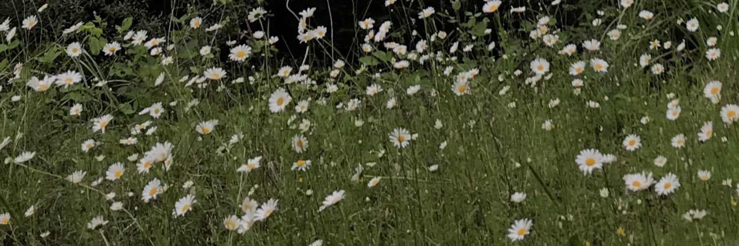 alesssandra_y's profile banner image