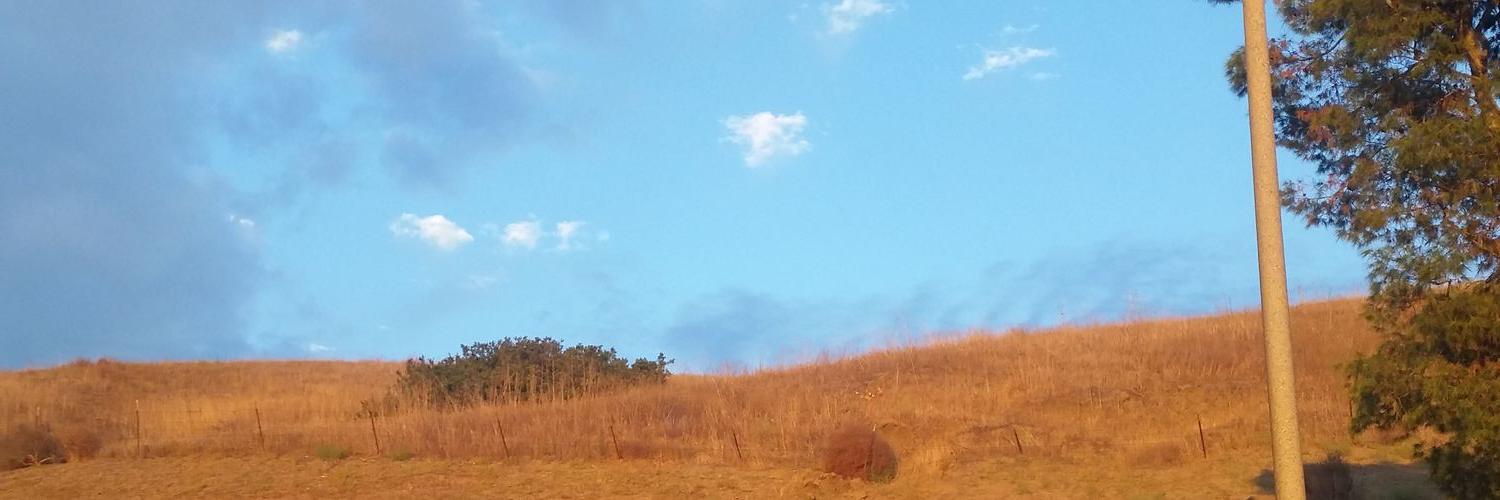 kelsfee13's profile banner image
