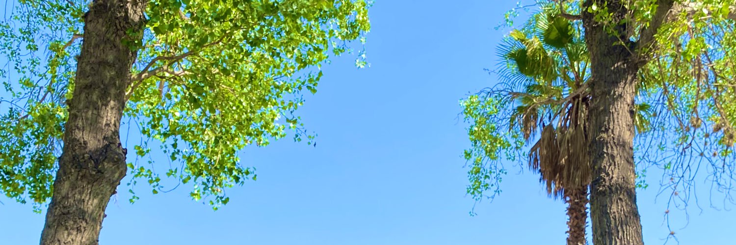 meIanieramos's profile banner image