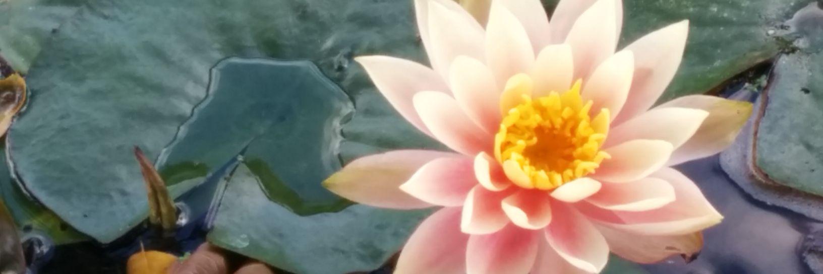 brezybear's profile banner image