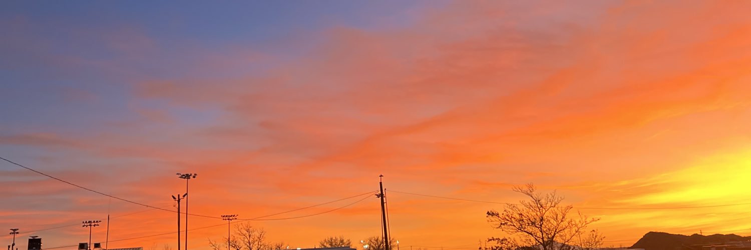 Sarah N Polanco banner